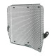 Protection de radiateur Evotech Triumph Street Triple 765 RS 20-21
