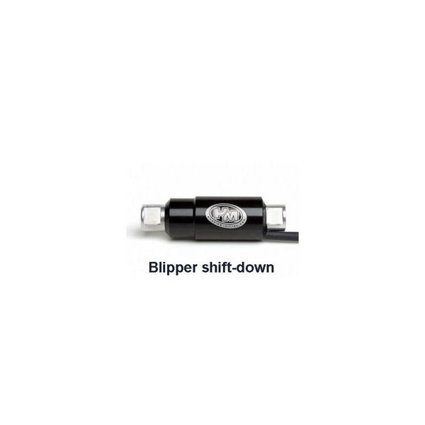 Blipper OEM HM - Ducati 1000 PANIGALE V4R - 1100 PANIGALE V4S
