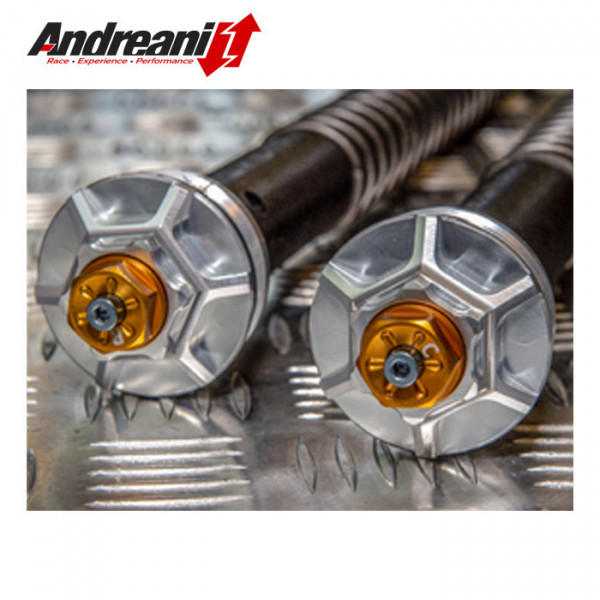 Cartouches hydraulique de fourche ANDREANI (complète) MV Agusta F4 et Brutale 05-09