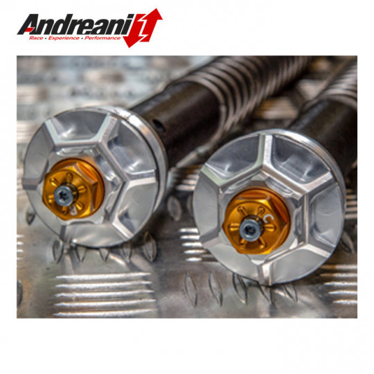 Cartouches hydraulique de fourche ANDREANI (complète) Suzuki SV 650 08-10