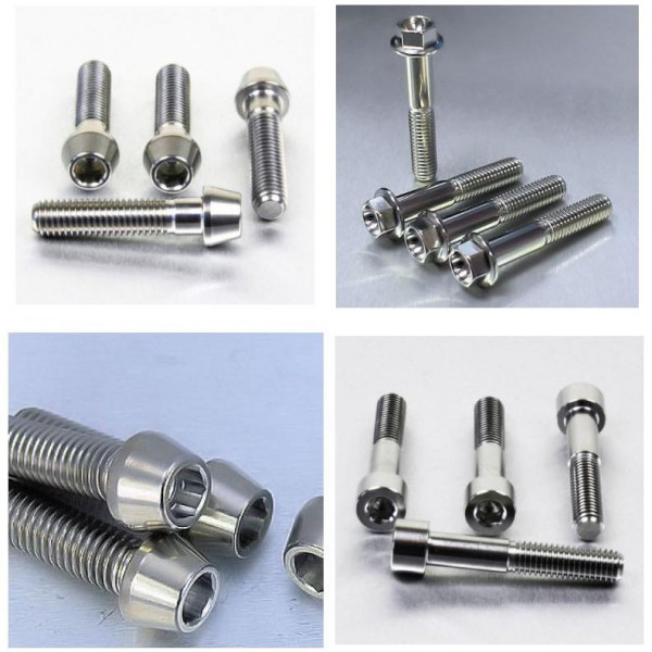 Vis de bas de fourche Pro-Bolt - Suzuki SV 650 03-16 - Tête héxagonale (x1)