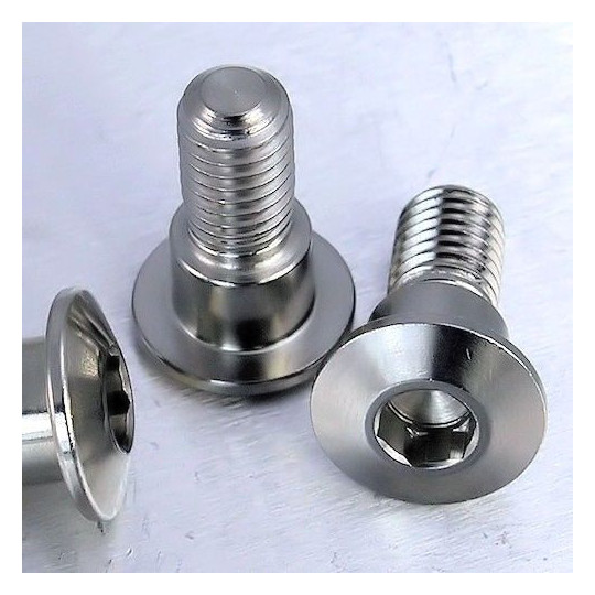 Vis inox Pro-Bolt pour disques de frein avant GSR 750 11-18