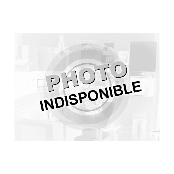 Carénage Avio fibre Carbonin BMW S1000 RR 2019-2020 - Capot de boite à air type SBK