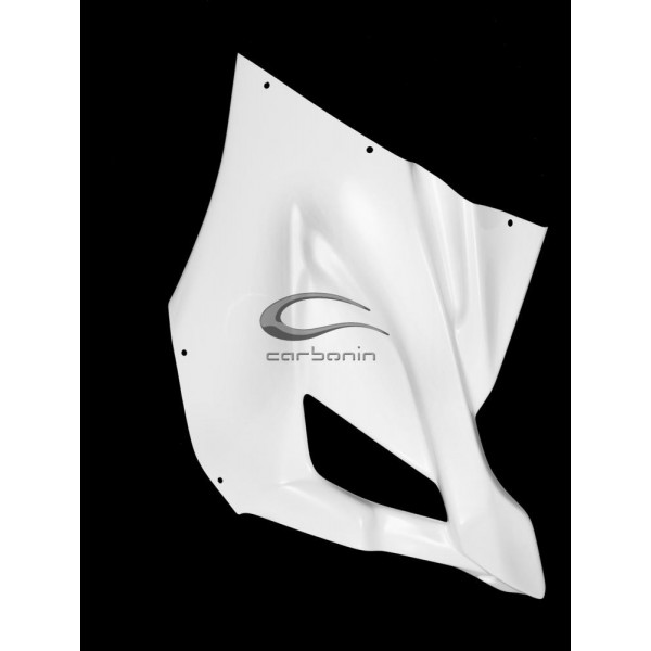 Carénage Avio fibre Carbonin BMW S1000 RR 2019-2020 - Flanc gauche