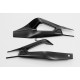 Potections carbone Carbonin BMW S1000 RR 19-20 Protection bras oscillant carbone