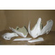 Pack carénage Access Composites Ducati 749-999 03-04