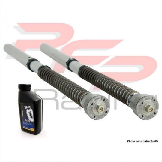 Cartouches de fourche Olhins NIX30 FGK-FKS - Ducati 1299 PANIGALE 15-17 pour fourche Marzocchi