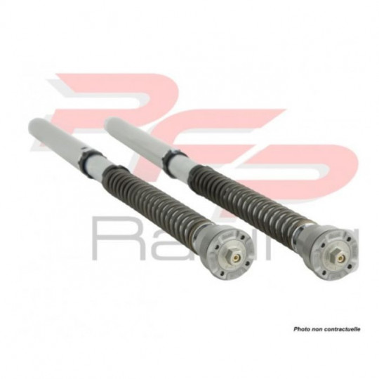 Cartouches de fourche NIX30 Ohlins B3 800 12-17 - MV Agusta B3 675-800 13-17