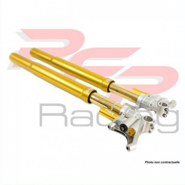 Fourche de Superbike Ohlins pressurisée FGR300 et FGR301 - Ducati 1199 PANIGALE 12-14 Entraxe 750 