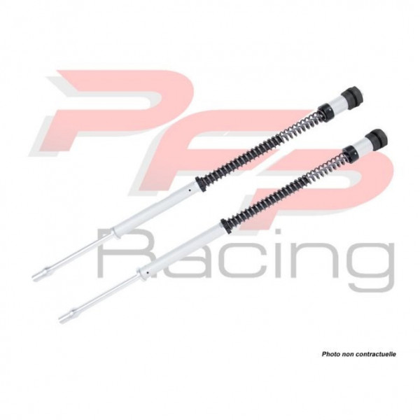Cartouches de fourche Ohlins NIX22 FKS - Kawasaki Z 900 17-19