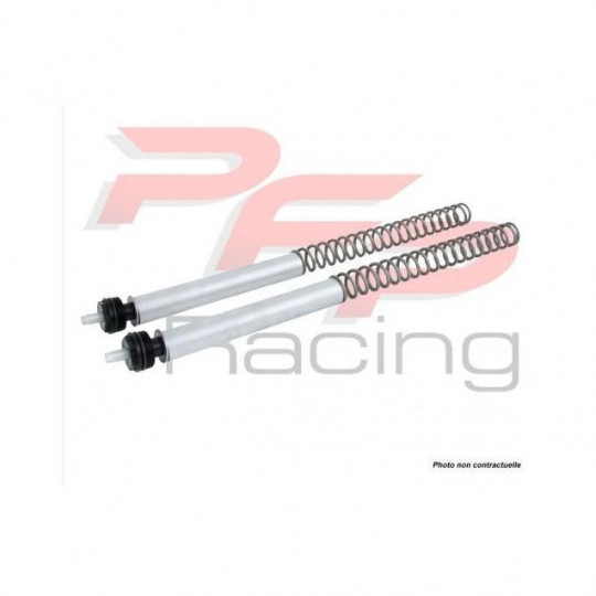 Cartouches de fourche Ohlins FSK - Kawasaki Z 650 2017