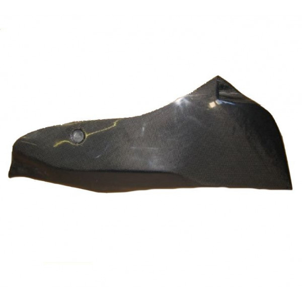 Sabot carbone  Access Composites Honda CB 600 Hornet 1998-2006 