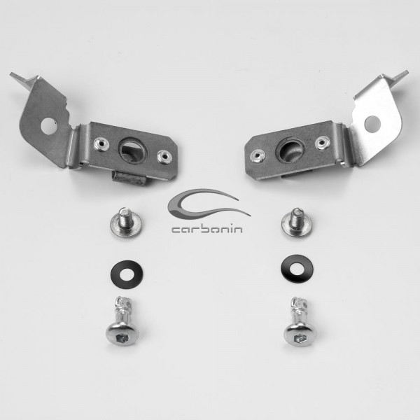 Carénage Avio fibre Carbonin BMW S1000 RR 2019-2020 - Support de flanc