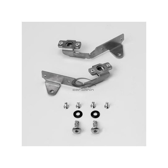Support d'entrée d'air d'origine pour carénage Carbonin BMW S1000RR 19-22