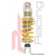 Amortisseur arrière S46DR1 Ohlins - Kawasaki Z 750 17-18