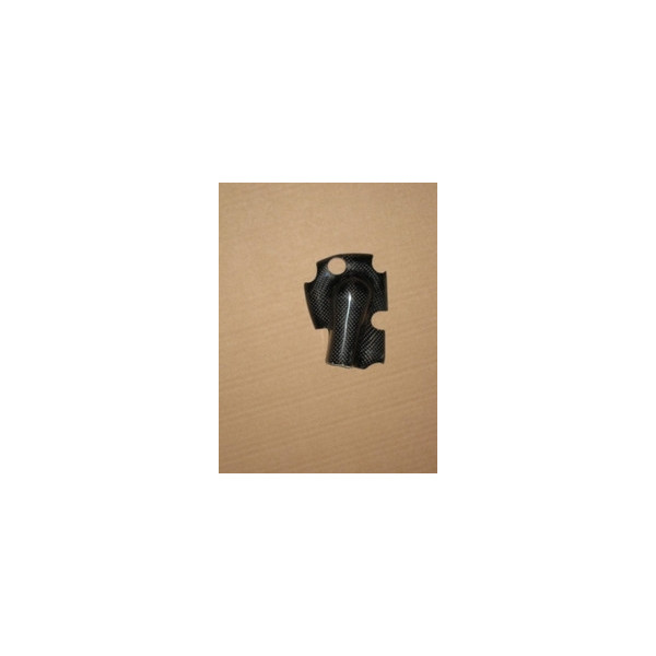 Protection carter pompe à eau carbone  Access Composites Kawasaki ER6 CUP 06-08 