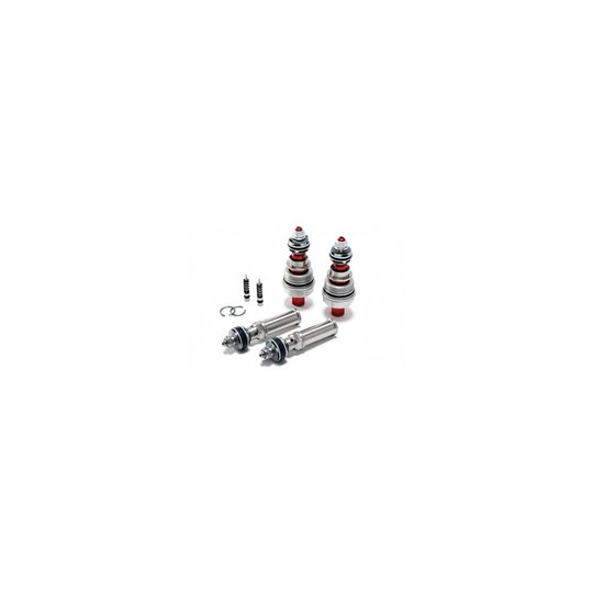 Kit pistons de fourche Racing Street Triple 675 09-12 Street Triple 675 R 09-12