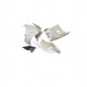 Pack Carénage poly piste Sebimoto Aprilia RSV4 2015-2019