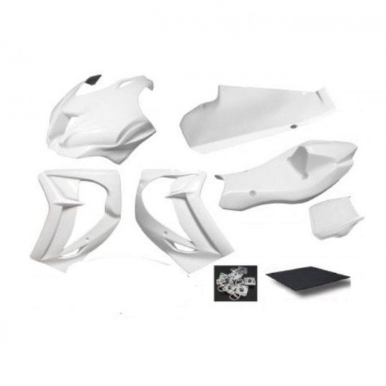 Pack carénage poly piste Sebimoto - Kawasaki ZX10R 16-20