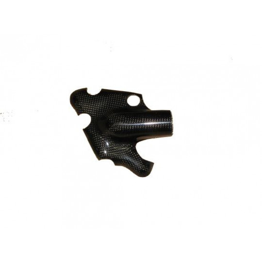 Protection pompe à eau en carbone Access Compsites SV 1000 