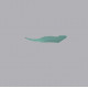 Protection réservoir droit Sebimoto Kawasaki ZX6R  09-12