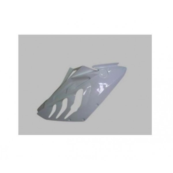 Flanc droit Sebimoto BMW S1000 RR 09-11 