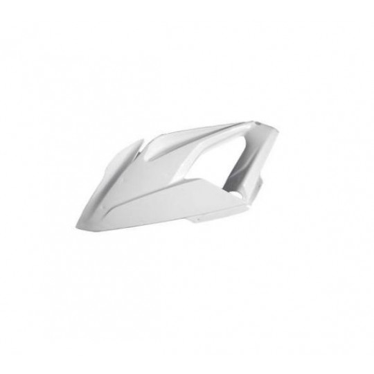 Flanc gauche Sebimoto BMW S1000 RR 15-19