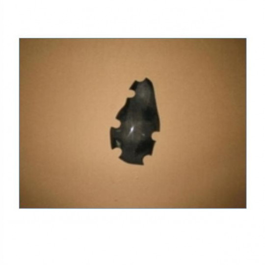 Protection carter d'allumage carbone Access Composites Triumph Daytona 675 et R 2006-2012 