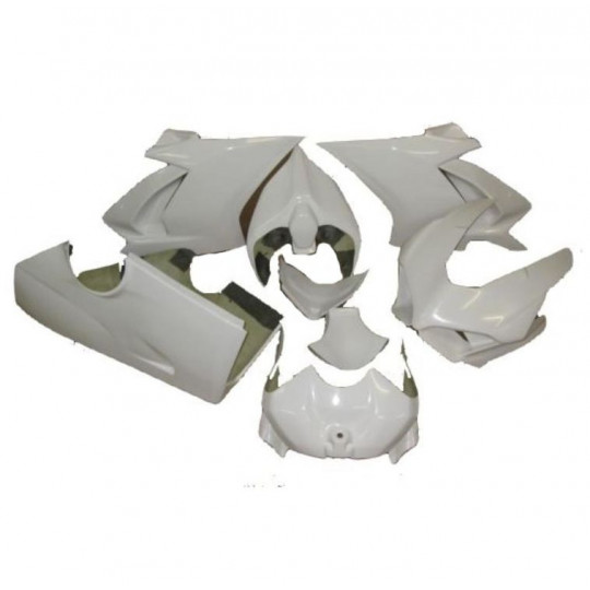 Carénage poly complet Access Composites Ducati PANIGALE 1100 V4