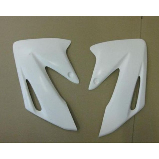 Ecopes radiateur Access Composites Yamaha FZ6 - Fazer 2004-2006 