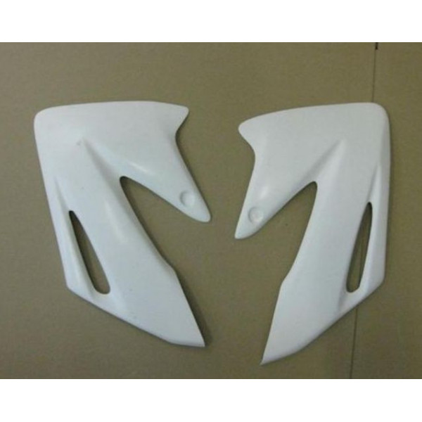 Ecopes radiateur Access Composites Yamaha FZ6 Fazer 2007-2011 
