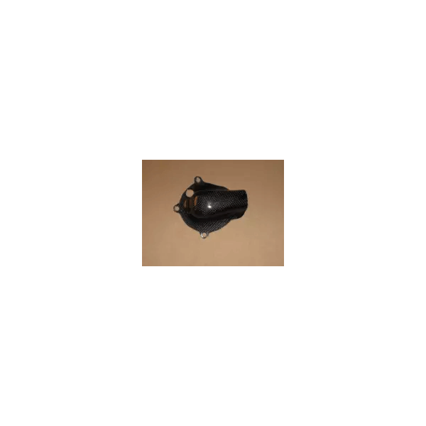 Protection pompe à eau carbone Access Composites BMW S1000 RR 2010-2016 
