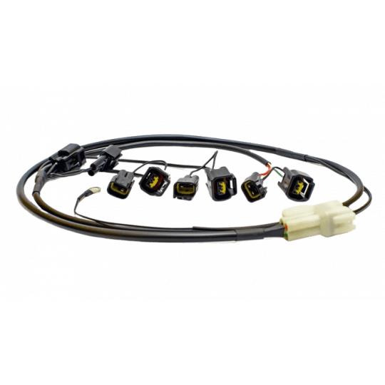 Faisceau Healtech QSH-CKP pour shifter Quickshifter Easy