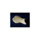 Pack carénage poly piste Sebimoto - Triumph Daytona 675 et R 13-17