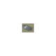 Pack carénage poly piste Sebimoto - Kawasaki ZX6R 09-16
