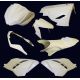 Pack carénage poly piste Sebimoto - Kawasaki NINJA 300 15-19