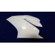 Pack carénage poly piste Sebimoto - Ducati 1299 Panigale 15-17