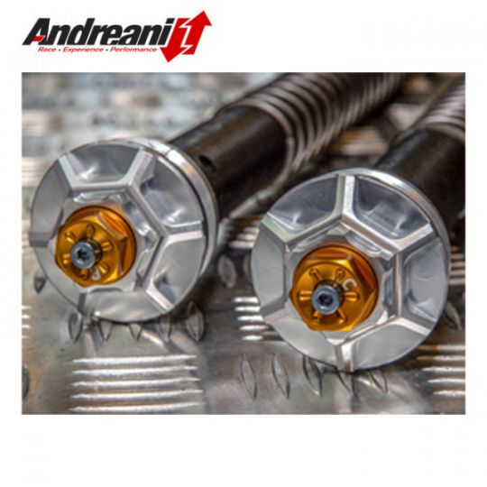Cartouches hydraulique de fourche ANDREANI (complète) Ducati HYPERMOTARD 950 19-23