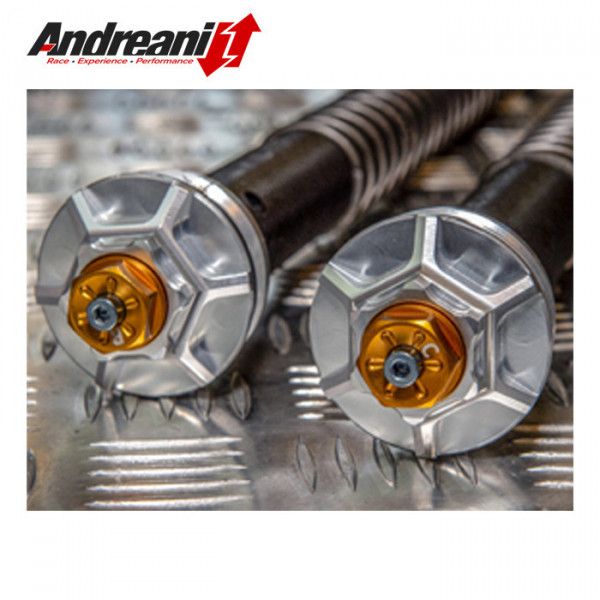 Cartouches hydraulique de fourche ANDREANI (complète) Ducati Multistrada 1200 13-14