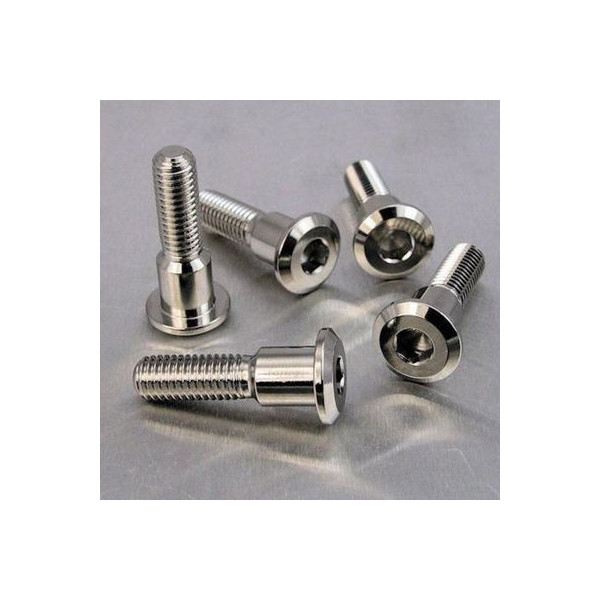 Vis de disque de frein Pro-Bolt inox Z 900 -